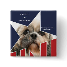 Pet Hund Photo Presidentval 2024 Kandidat