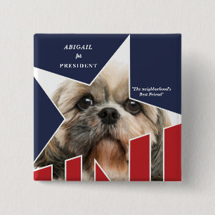 Pet Hund Photo Presidentval 2024 Kandidat Knapp