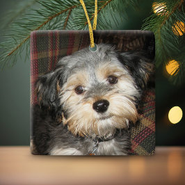 Pet Hund Photo Ram - lägg till namn på baksidan Julgransprydnad Keramik
