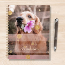 Pet Hund Photo Rosa Ribbon Chic Guld Namn Glitter