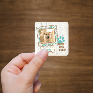 Pet Hund Photo Scrapbook Fyrkantigt Klistermärke