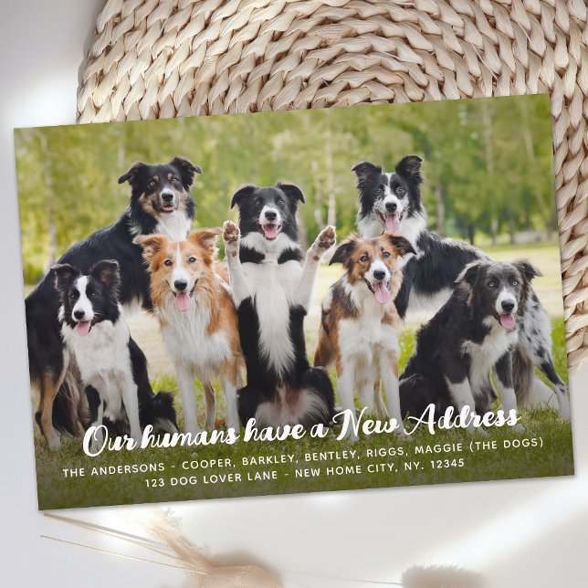 Pet Hund Photo (ung. modern Ny adress Anpassningsb Meddelande (Skapare uppladdad)