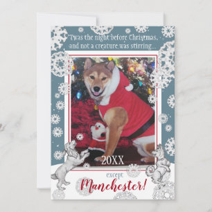 Pet Hund Snowflake Funny Animal Jul Photo Julkort
