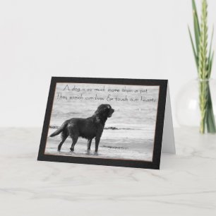 Pet Hund Sympathy Card - Touch our Hearearts (kort Kort