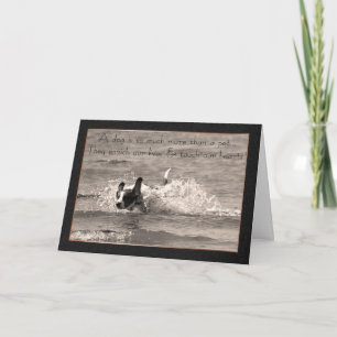 Pet Hund Sympathy Card - Touch our Hearearts (kort Kort
