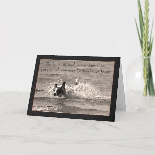 Pet Hund Sympathy Card - Touch our Hearearts (kort Kort (Framsida)