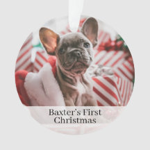 Pet Hundar Första julfoto Ornament
