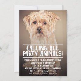 PET HUND'S PARTY PHOTO INBJUDAN