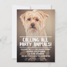 PET HUND'S PARTY PHOTO INBJUDAN
