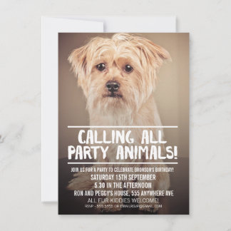 PET HUND'S PARTY PHOTO INBJUDAN