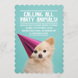 PET HUND'S PUPPY PARTY PHOTO INBJUDAN