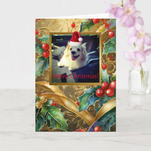 Pet-jul, 5 tum x 7 tum-gratulationskort kort