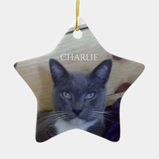PET KÄRLEK Ceramic Star Ornament (Framsidan)