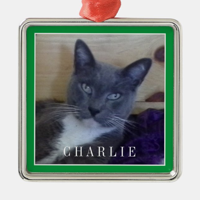 PET KÄRLEK Premium Square Ornament/Grönt Julgransprydnad Metall (Framsidan)