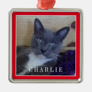 PET KÄRLEK Premium Square Ornament - Red