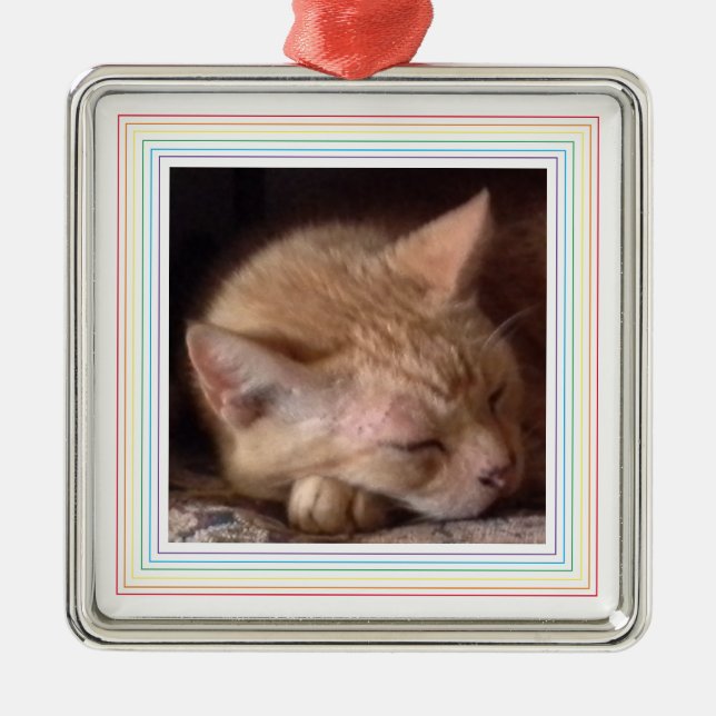 PET KÄRLEK Premium Square Ornament/Regnbåge Julgransprydnad Metall (Framsidan)