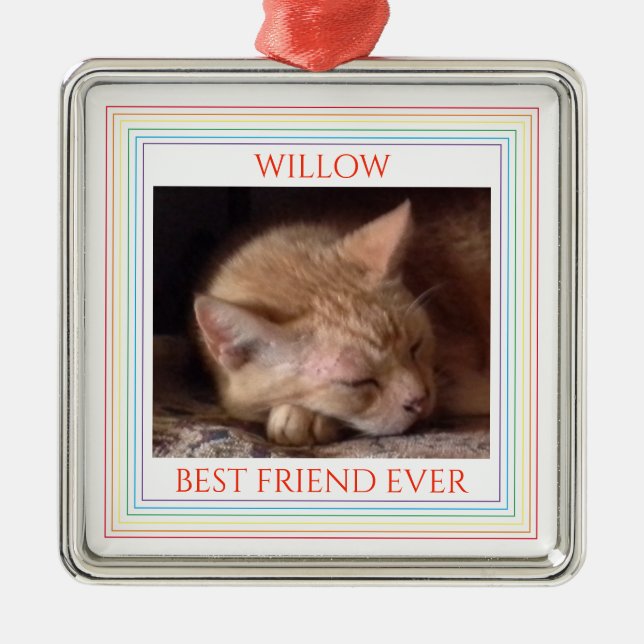 PET KÄRLEK Premium Square Ornament + Text / Regnbå (Framsidan)