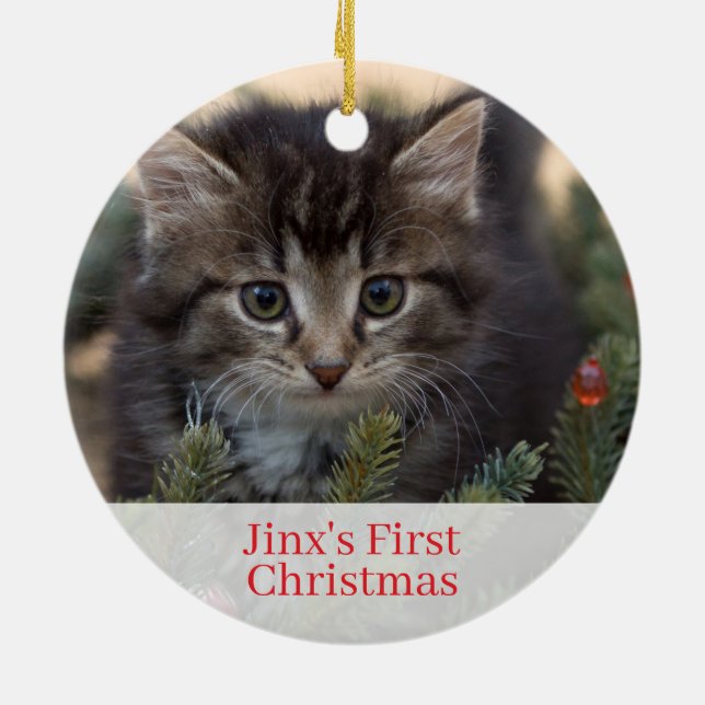 Pet Kittens första julfoto Ornament (Baksidan)