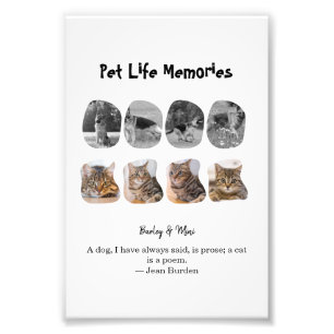 Pet Life Minnen 8 Foto Collage Hyllning Mall
