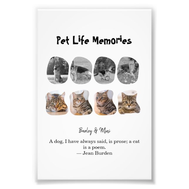 Pet Life Minnen 8 Foto Collage Hyllning Mall (Framsidan)