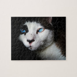 Pet Life | Svartvit siamesisk kattblått Öga foto Pussel