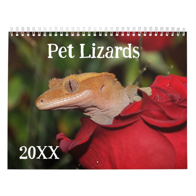 Pet Lizards Kalender (Omslag)