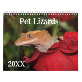 Pet Lizards Kalender