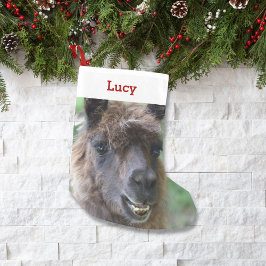 Pet Llama Älskare Owner Photo & Namn Personlig Liten Julstrumpa