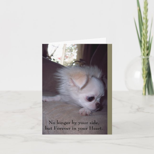 Pet Loss Loss Sympathy Card for Hundar Kort (Framsida)
