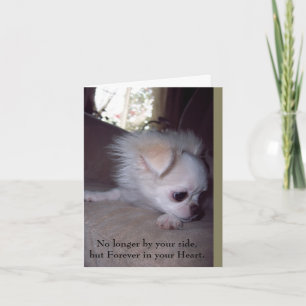 Pet Loss Loss Sympathy Card for Hundar Kort
