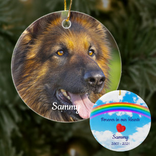Pet Loss Rainbow Bridge Pet Hund Memorial Photo Julgransprydnad Keramik