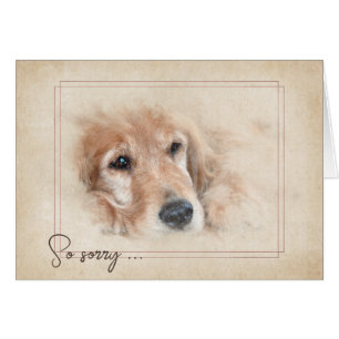 Pet Loss Sympathy Golden Retriever Hälsningskort