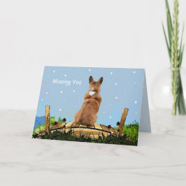Pet Loss-sympati Kort