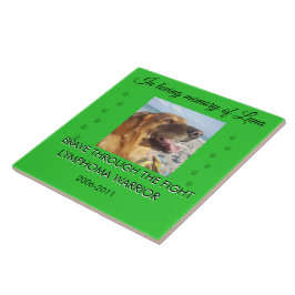 Pet Memorial 1 Photo - Brave Through The Fight Kakelplatta