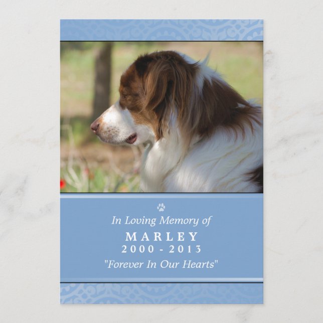 Pet Memorial 5x7 Light Blue God Garden Dikt Program (Framsida)