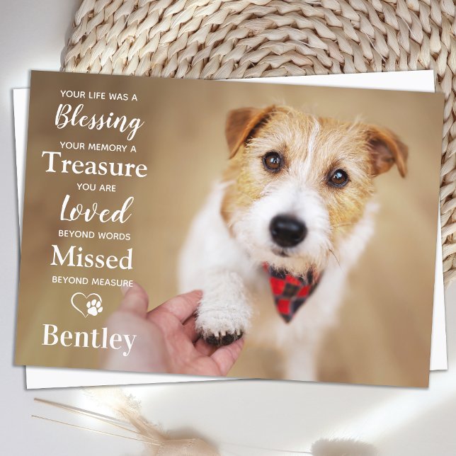 Pet Memorial Analize Modern Hund Photo Sympathy Tack Kort (Skapare uppladdad)