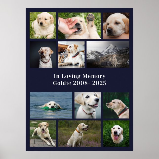Pet Memorial Anpassad Hund 12 Foto Poster (Framsidan)