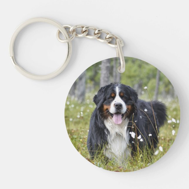 Pet Memorial Anpassningsbar Hund Photo Rainbow Pet (Framsidan)
