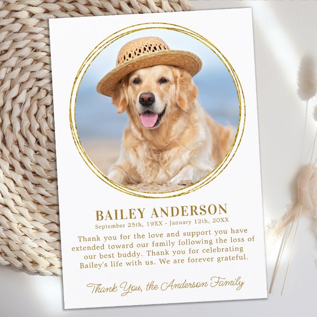 Pet Memorial Anpassningsbar Photo Elegant Guld Sym Tack Kort (Skapare uppladdad)