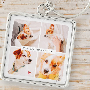 Pet Memorial Best Hund någonsin Modern Photo Colla Fyrkantig Silverfärgad Nyckelring