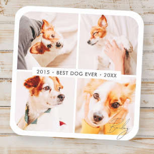 Pet Memorial Best Hund någonsin Modern Photo Colla Fyrkantigt Klistermärke