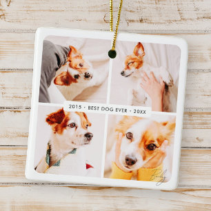 Pet Memorial Best Hund någonsin Modern Photo Colla Julgransprydnad Keramik