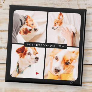 Pet Memorial Best Hund någonsin Modern Photo Colla Magnet
