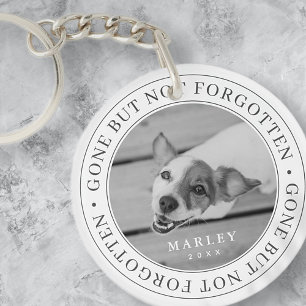 Pet Memorial Borta men inte glömt Modern Photo