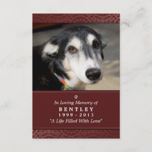 Pet Memorial Card 3,5 tum x 5 tum - måndag - Pet P Inbjudningar
