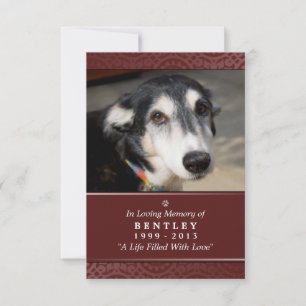 Pet Memorial Card 3,5 tum x 5 tum - Red - God Gard Meddelande