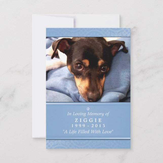 Pet Memorial Card 3,5 x 5 Light Blue Pet's Prayer Meddelande (Framsida)