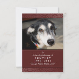 Pet Memorial Card 3,5 x 5 Maron Gud såg dig Dikt Meddelande