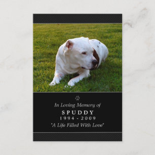 Pet Memorial Card 3,5" x 5" svart, modern foto Inbjudningar
