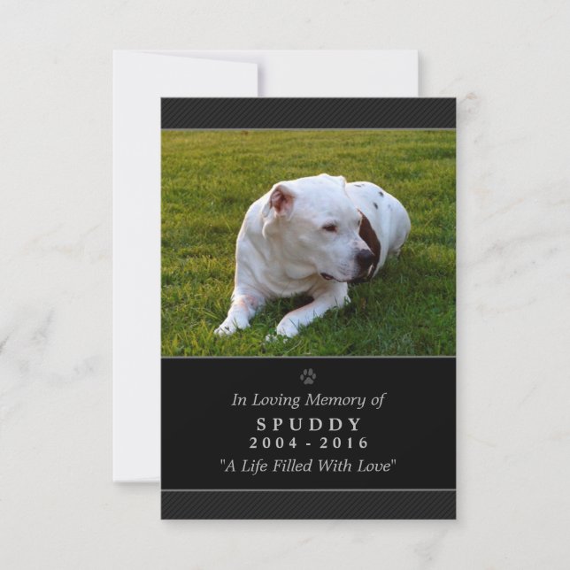 Pet Memorial Card 3,5" x 5" svart, modern foto Inbjudningar (Framsida)